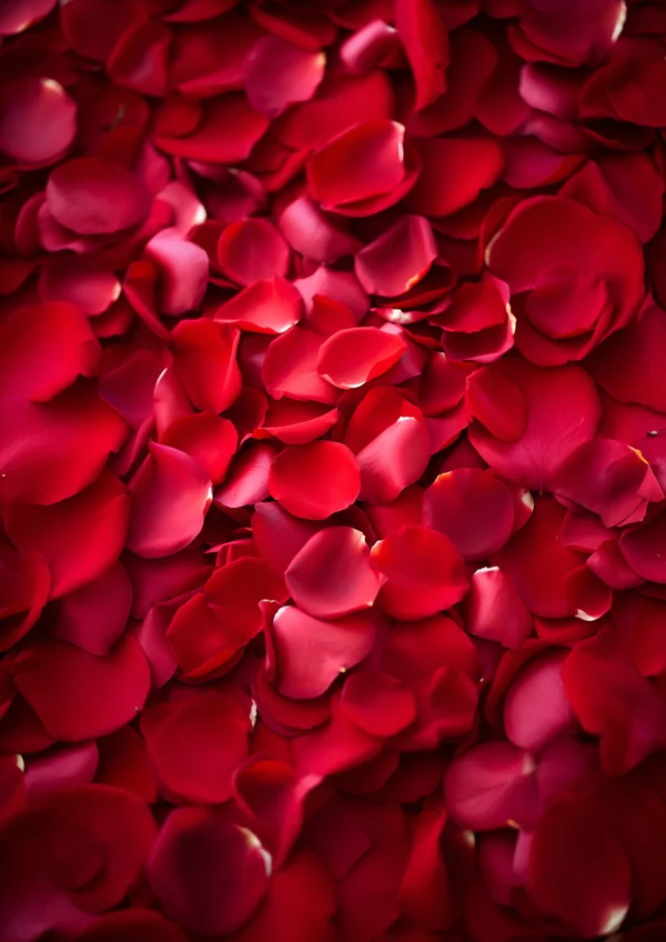 Imagen de Pétalos de rosa